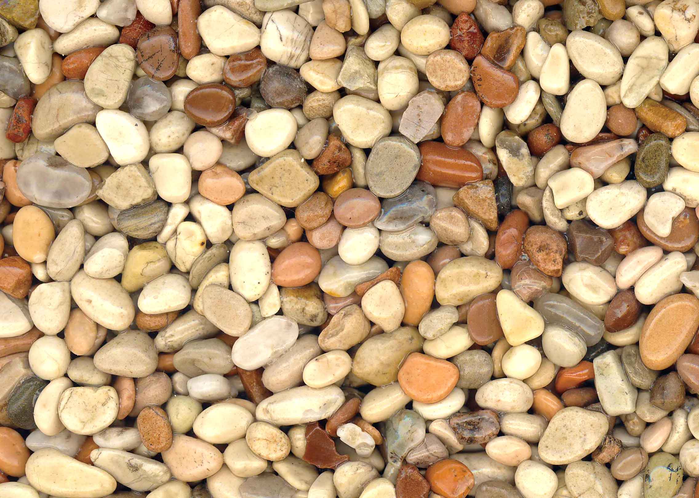 桂林(けいりん)