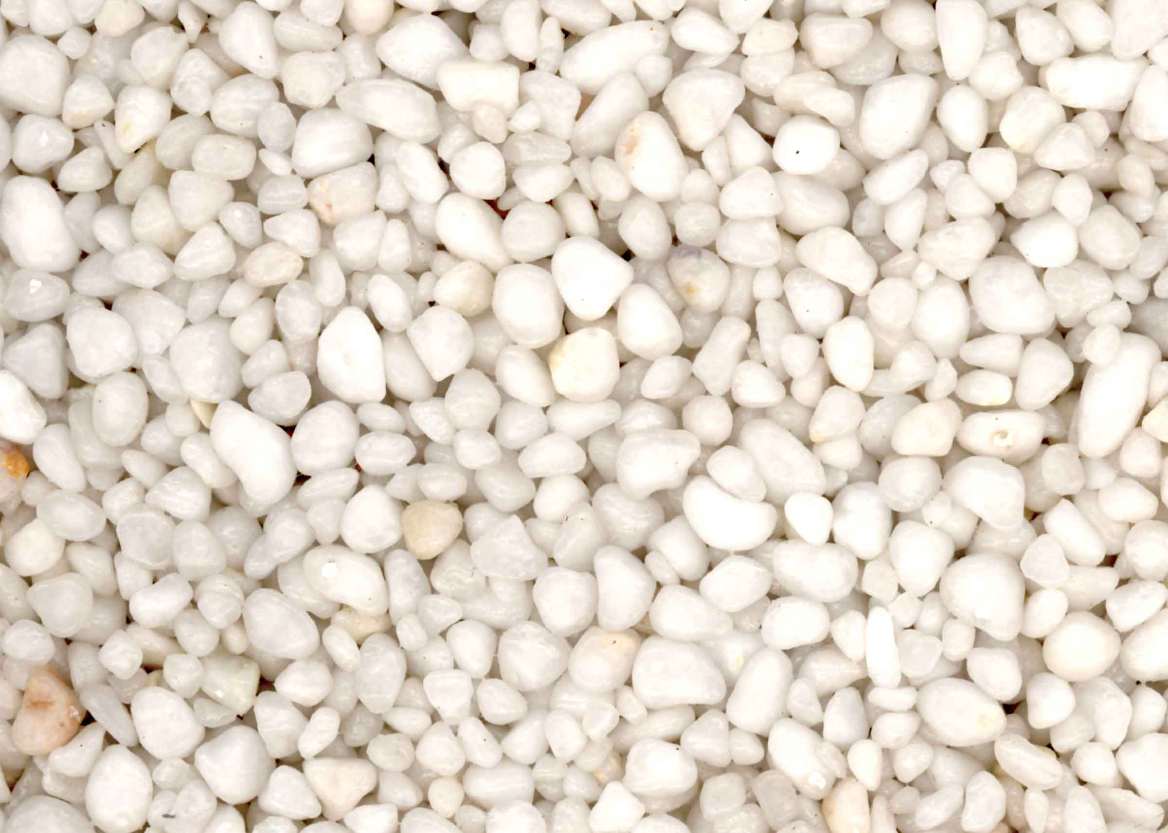 白玉砂利(しろたまじゃり)