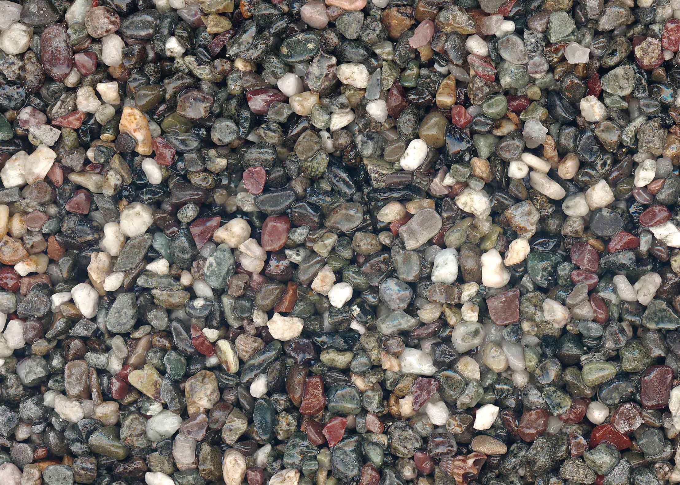 瀬戸内(せとうち)