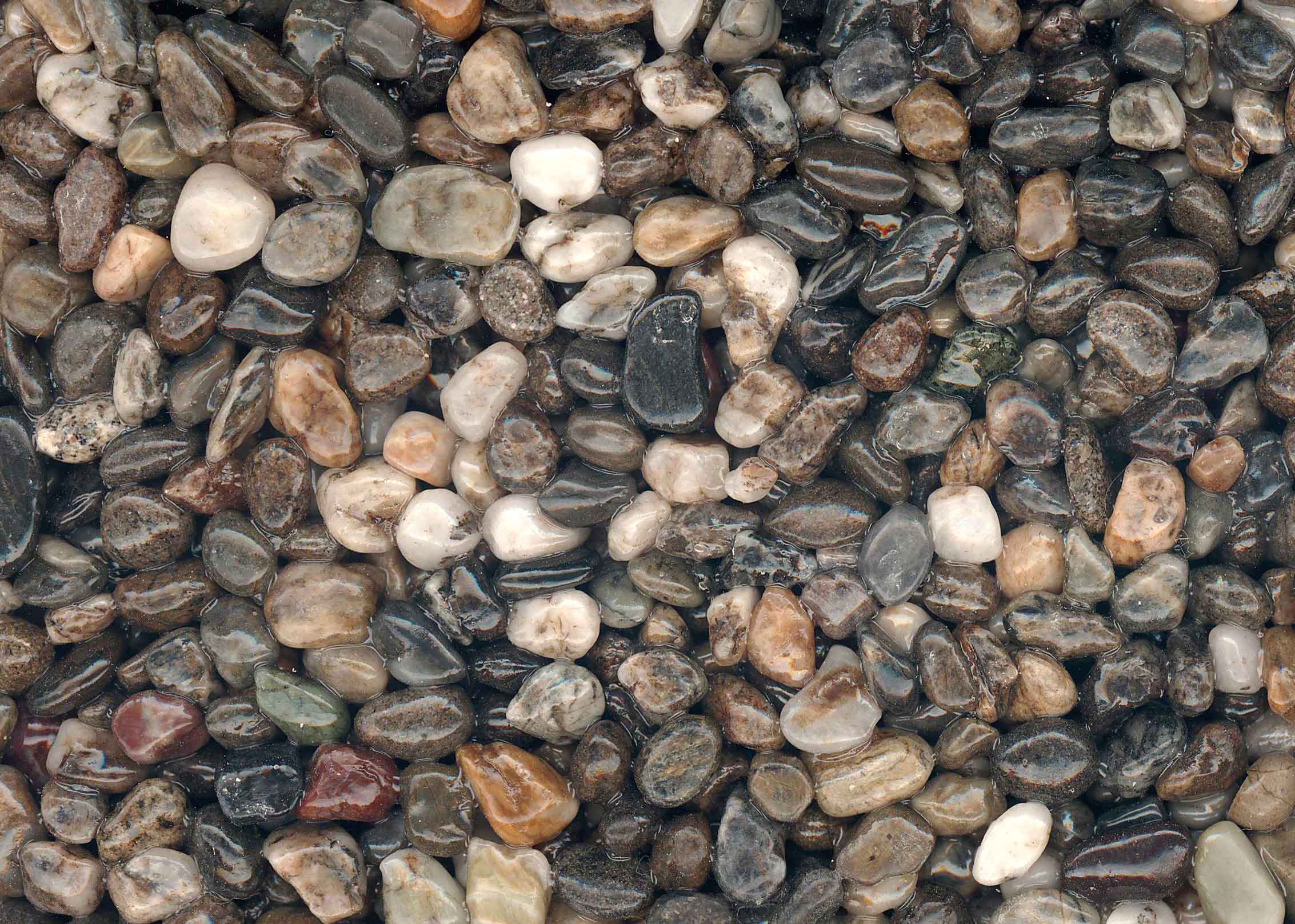 淡那智(あわなち)