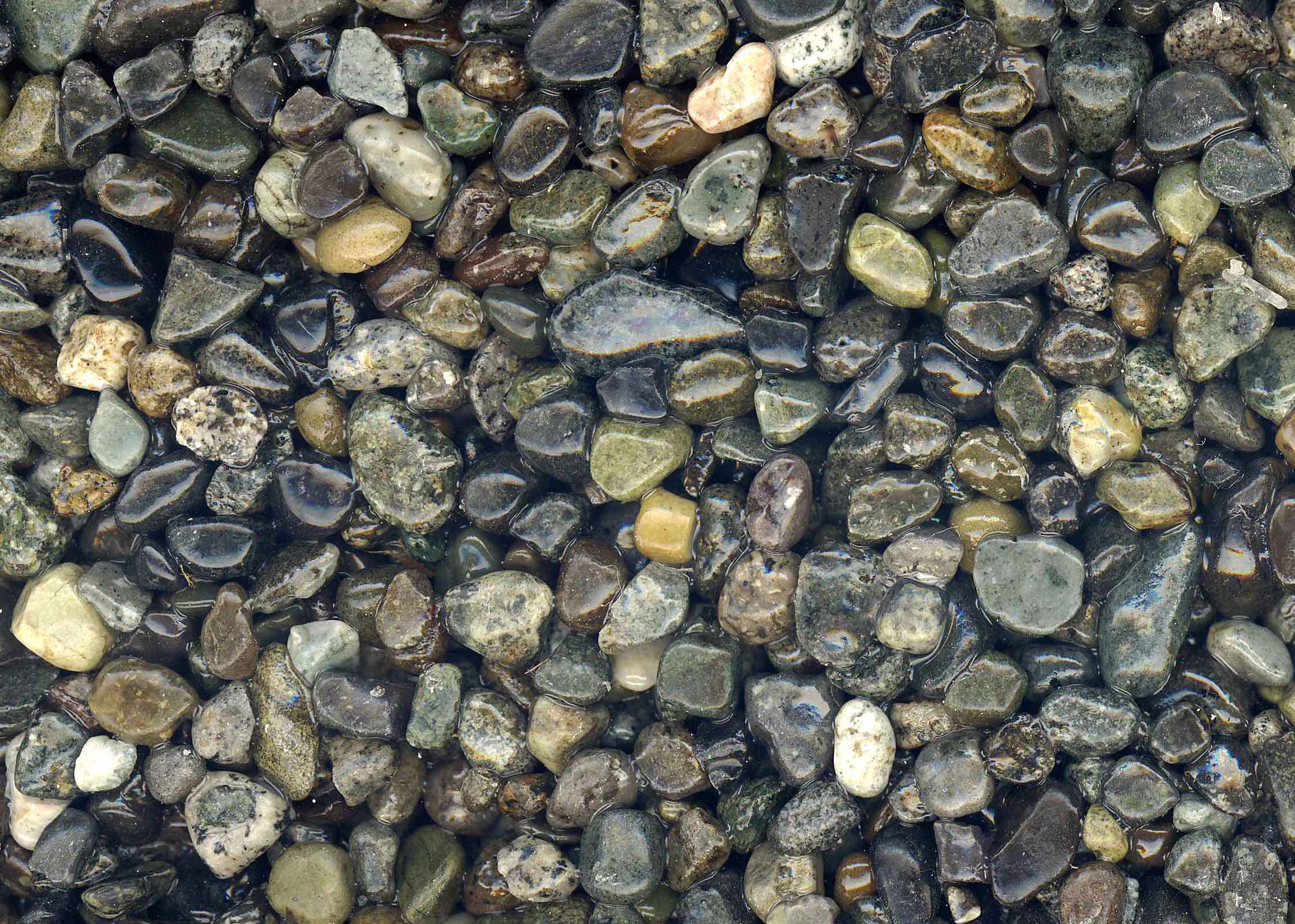 大磯(おおいそ)