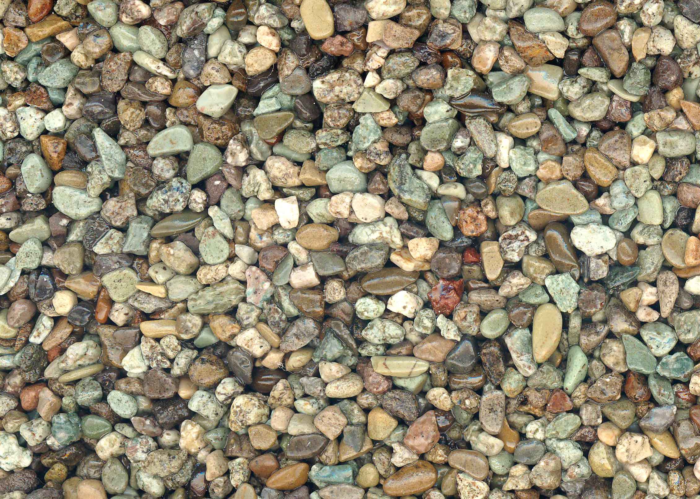 青海(せいかい)