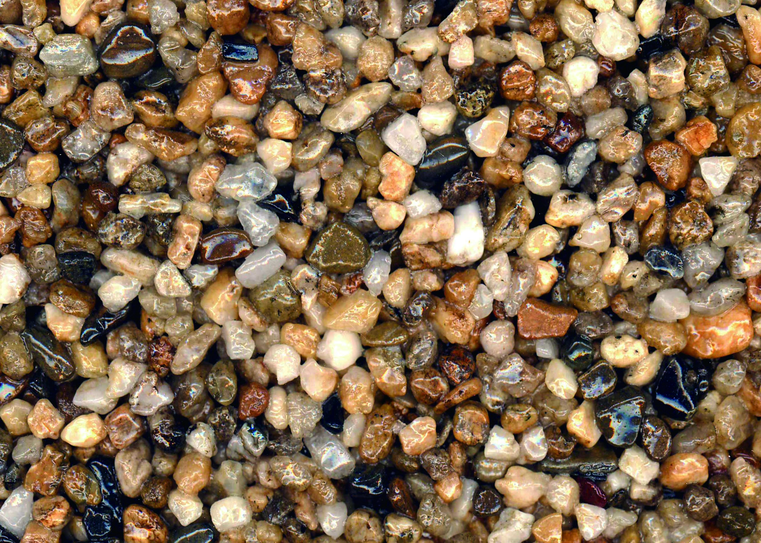 新淡路(しんあわじ)