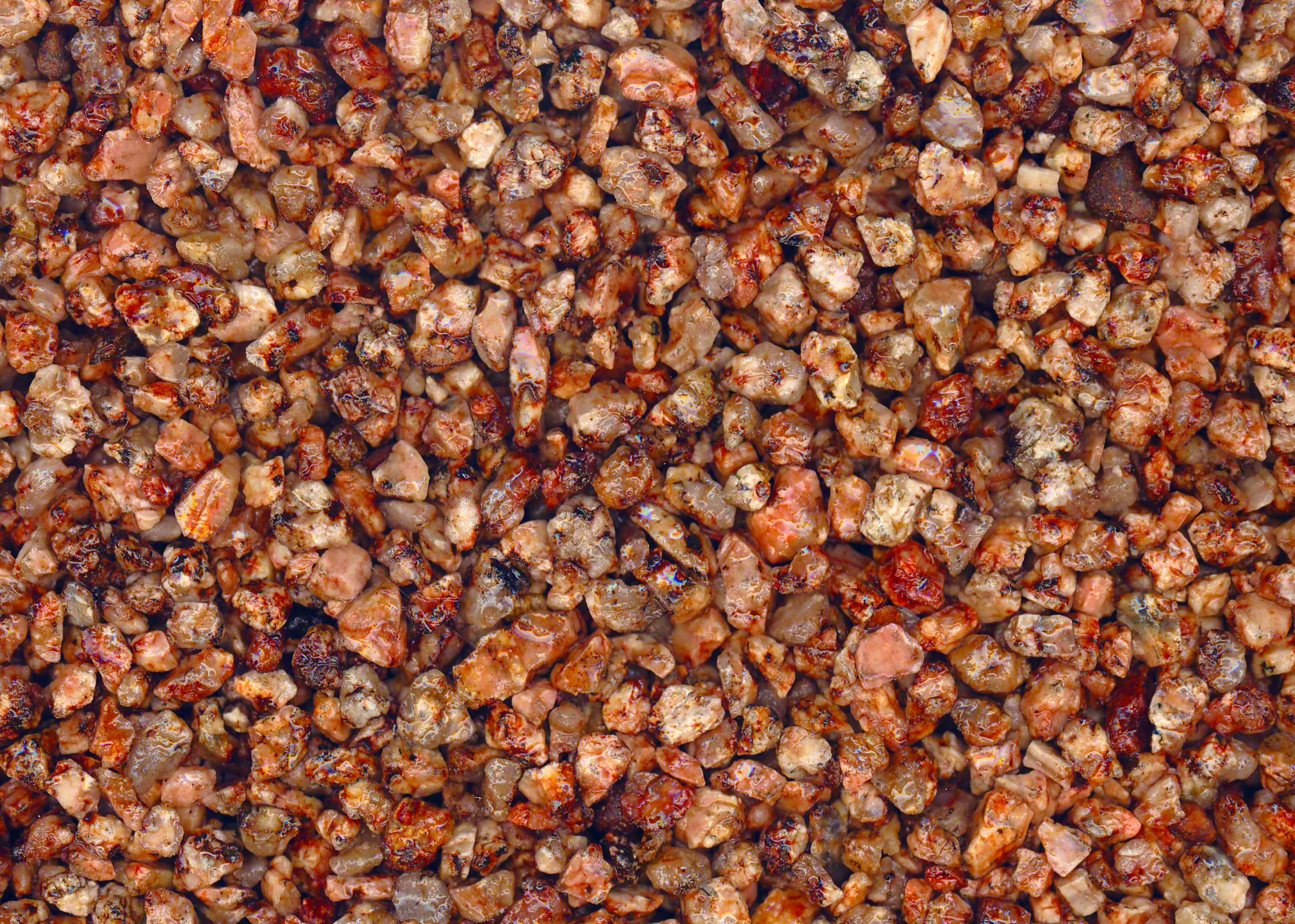 桜御影(さくらみかげ)