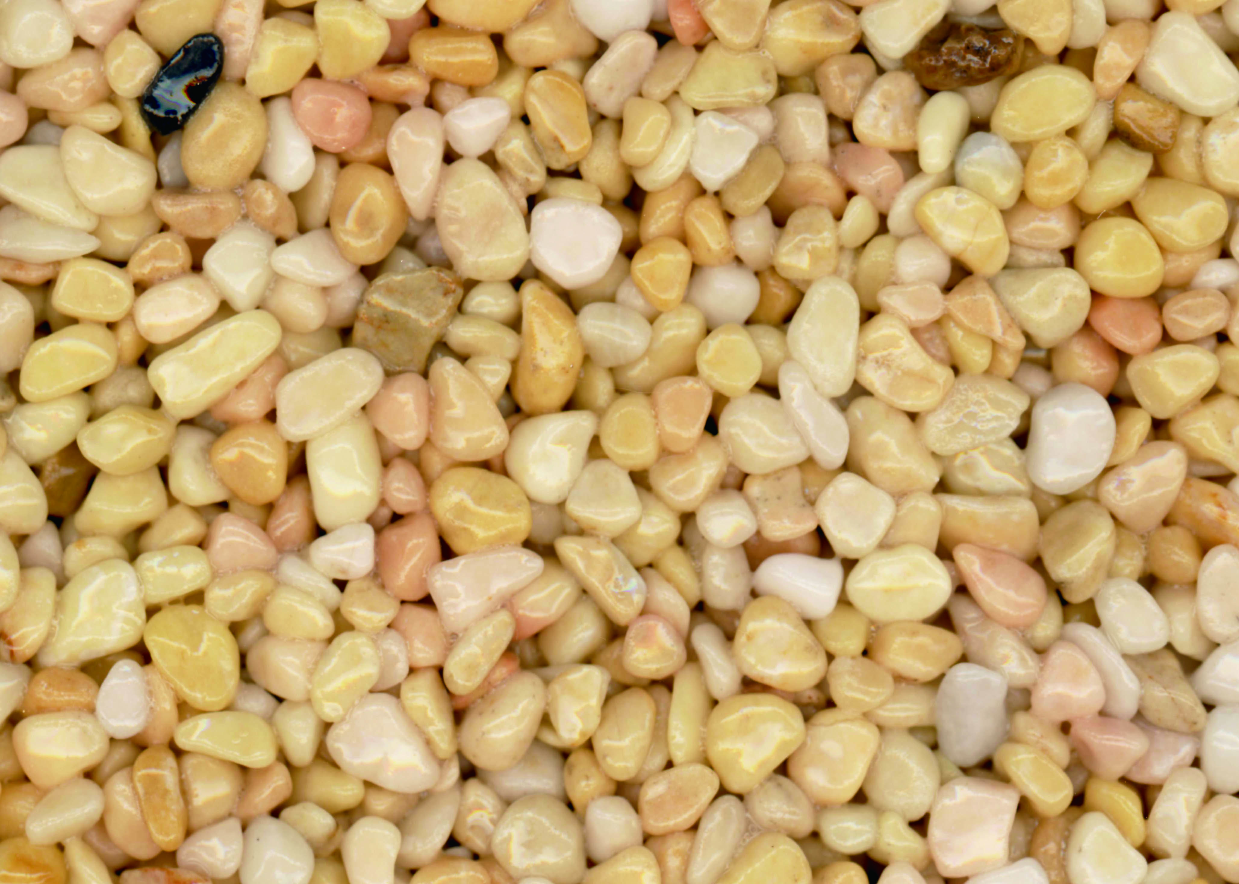 ブライトイエロー