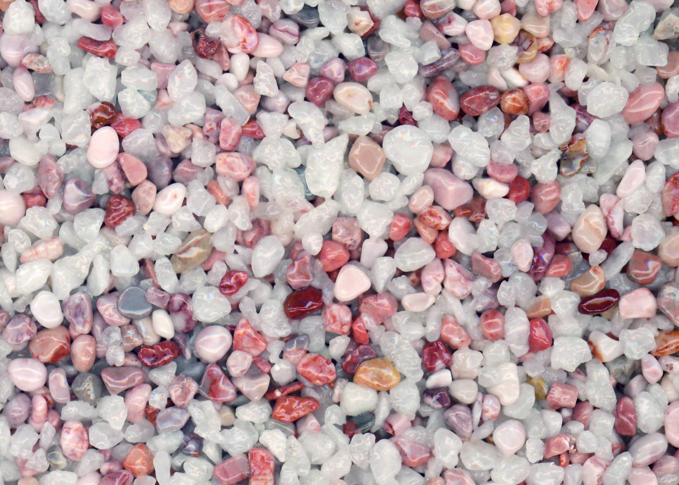 ピンクホワイト